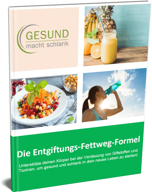 Die Entgiftungs-Fettweg-Formel