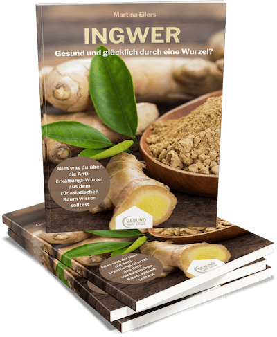 INGWER: Gesund und glücklich durch eine Wurzel?